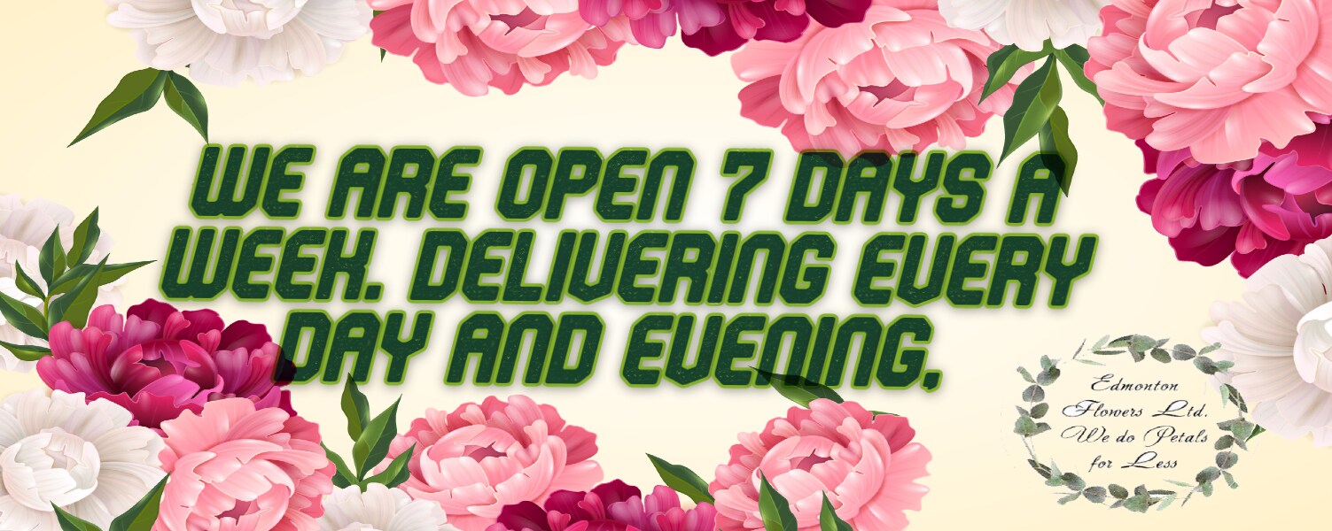 Edmonton Florist Flower Delivery by Petals For Less Ltd.